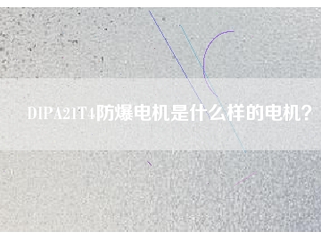 DIPA21T4防爆電機是什么樣的電機？
