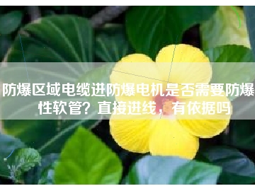 防爆區(qū)域電纜進(jìn)防爆電機(jī)是否需要防爆撓性軟管？直接進(jìn)線，有依據(jù)嗎