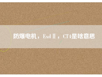 防爆電機(jī)，ExdⅡ，CT4是啥意思