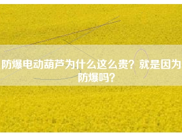 防爆電動葫蘆為什么這么貴？就是因為能防爆嗎？