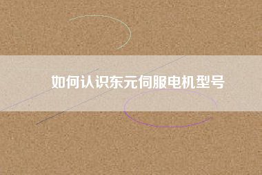 如何認(rèn)識(shí)東元伺服電機(jī)型號(hào)